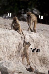 Three young baboons playing on a rock ledge. Two are on the ridge and one below, grabbing the tail of another. A meme font shows "\r", "\n", and "\r\n" personified as each baboon.